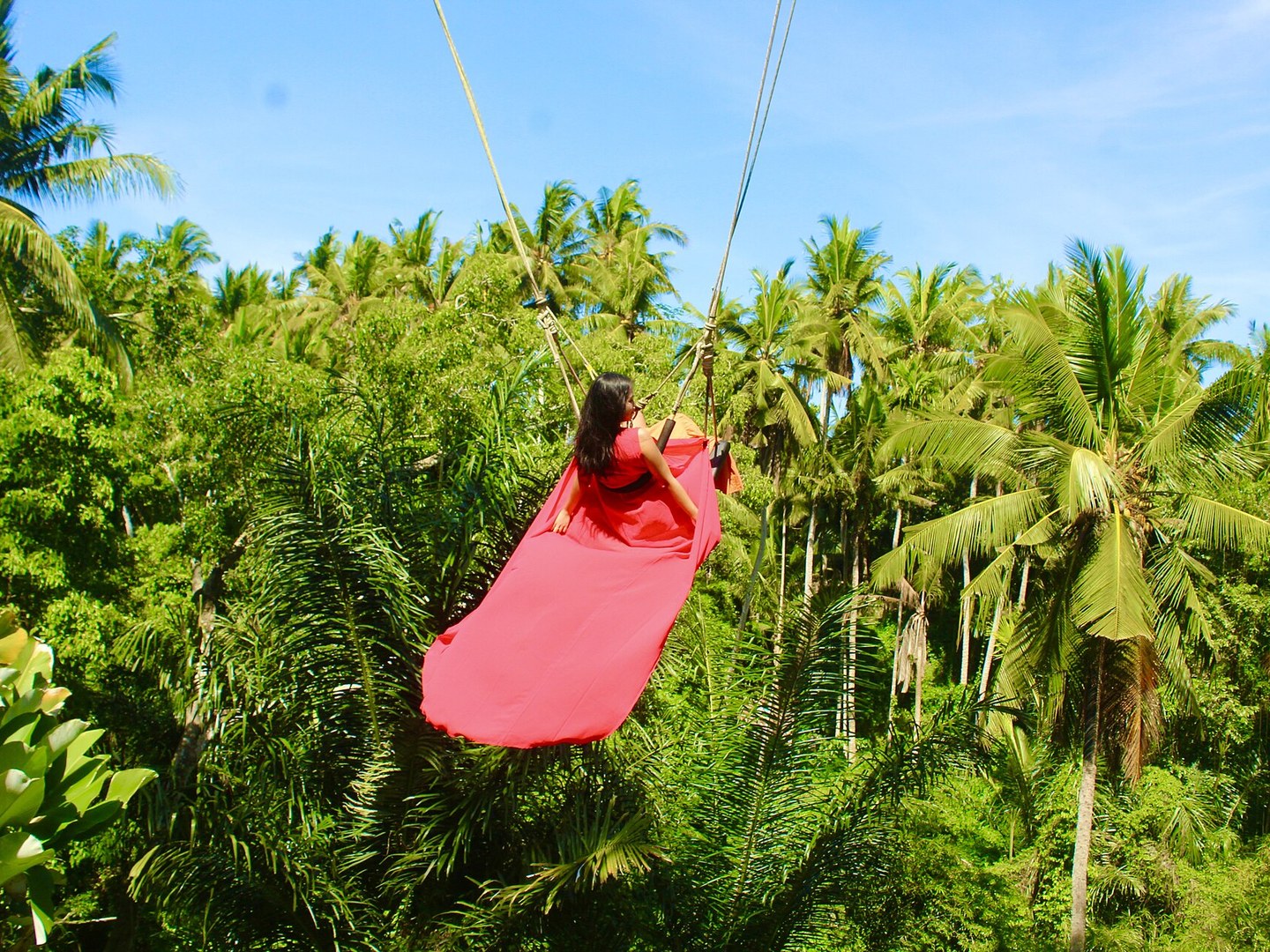 Bali Swing & Jungle Photo Stops