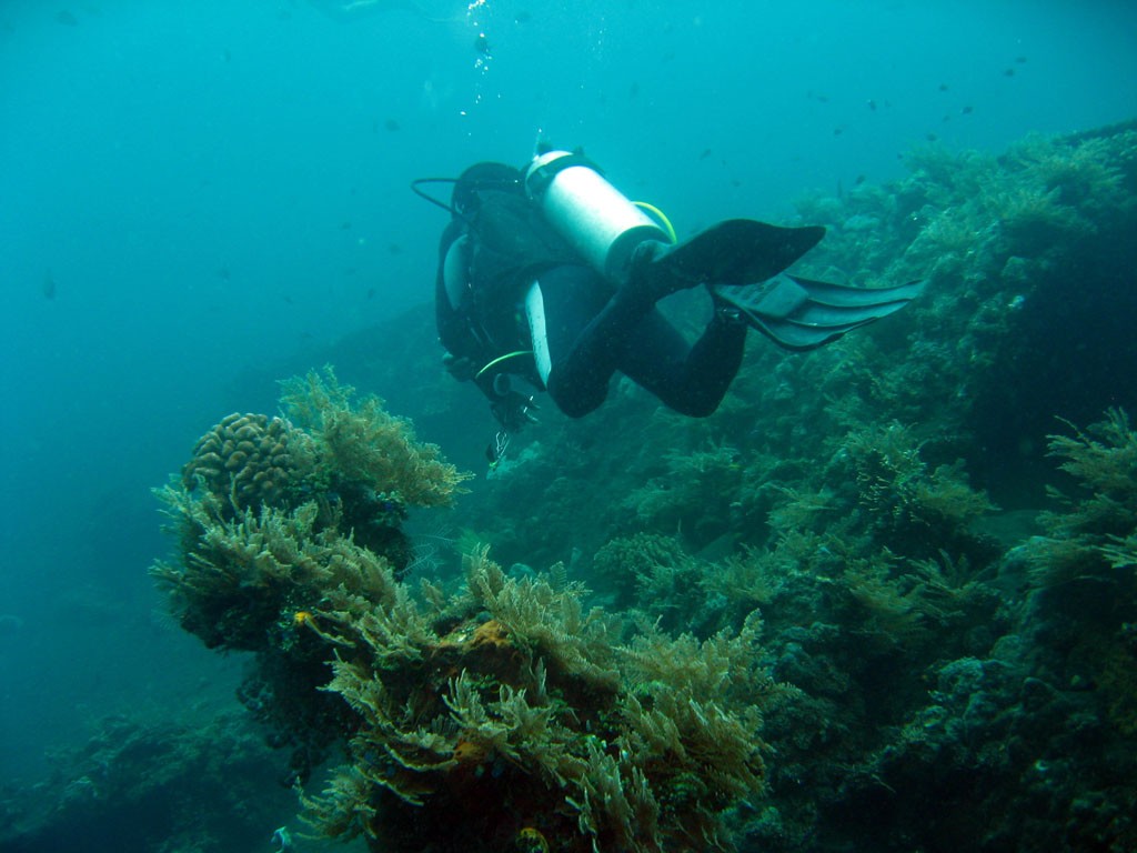 Tulamben Wreck Dive