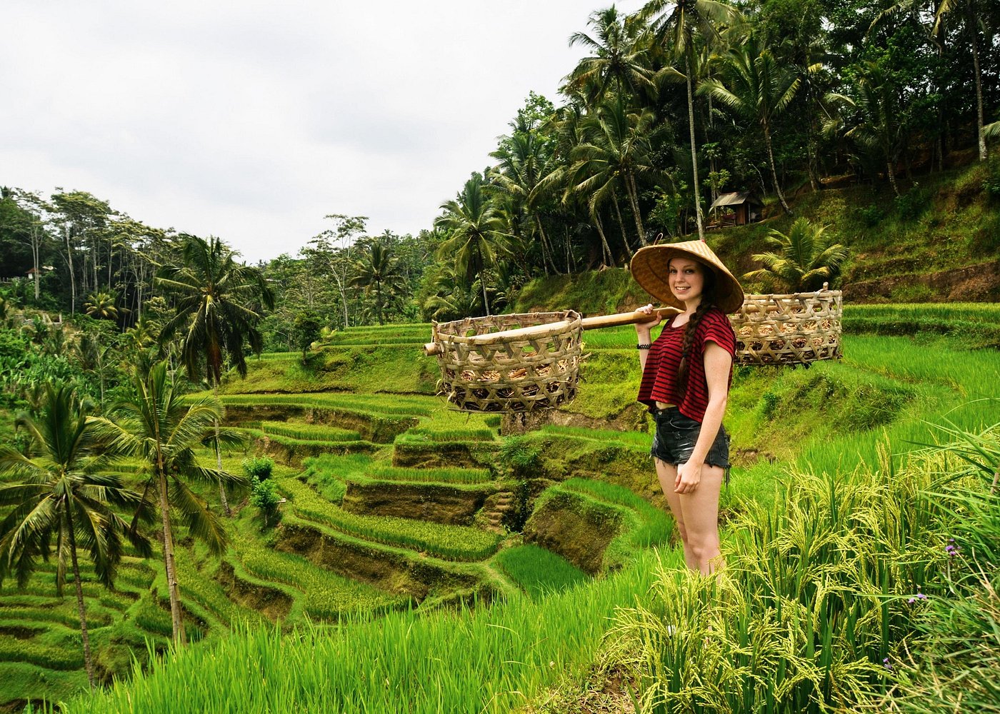Private 1-Day Ubud Highlights Tour